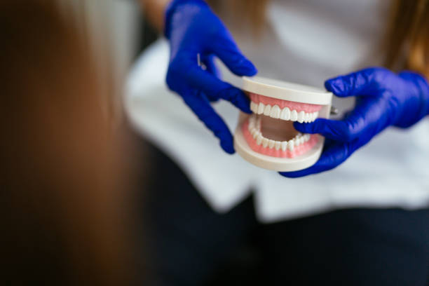 Emergency Dental Services in Chicago Heights, IL