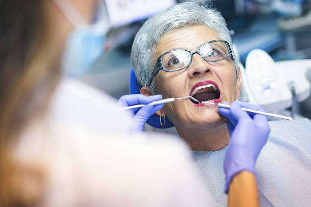  Chicago Heights, IL Holistic Dental Care Services Pros